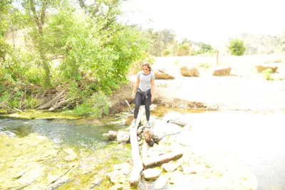 DSC_6534 (Large).JPG